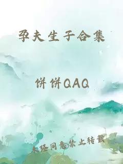 孕夫生子合集