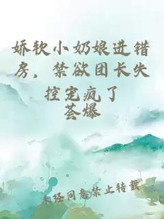 娇软小奶娘进错房，禁欲团长失控宠疯了